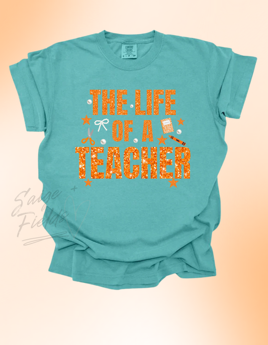 The Life of a Teacher